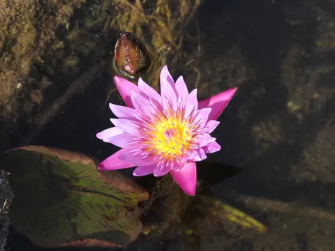 数据服务示意图